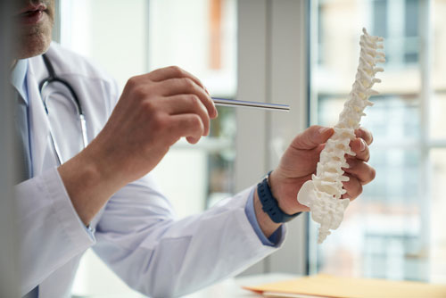 spinal cord injury concept doctor with model of spine