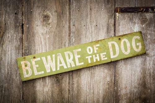 Image is of a wooden sign that says "Beware of the dog" on wooden fence, concept of Fullerton dog bite lawyer