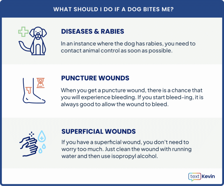 What Should I Do If A Dog Bites Me?