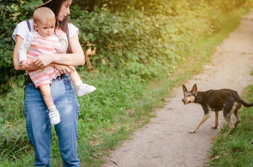 Irvine dog bite lawyer concept dog growls at woman with baby